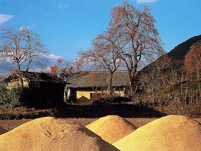 Misato Hotel Azumino Zewnętrze zdjęcie